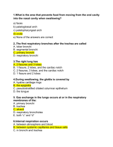 LECTURE EXAM 5 REVIEW