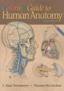 DOWNLOAD Coloring Guide to Human Anatomy