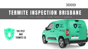 Expert Termite Inspection Brisbane – Protect Your Property