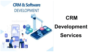  CRM Development Services