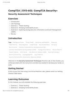 Security Assessment Techniques