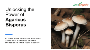 Unlocking the Power of Agaricus Bisporus