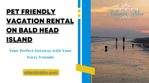 A Guide to Choosing the Best Pet Friendly Vacation Rental on Bald Head Island