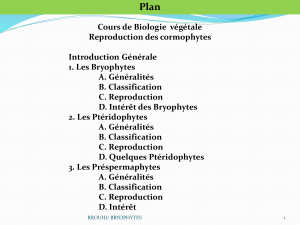 Reproduction des cormophytes : Bryophytes, Ptéridophytes, Préspermaphytes