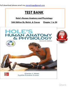 Ebook. Solution Manual and Test Bank for Holes human anatomy physiology 16th edition by david shier watermark