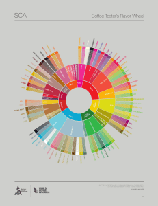 SCA Coffee TasterWheel English 8.5x11