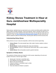 Kidney Stones Treatment in Hisar