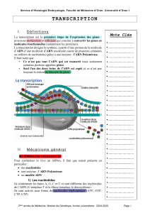 Transcription : Cours de génétique pour étudiants en médecine