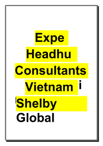 Expert Headhunt Consultants in Vietnam – Shelby Global