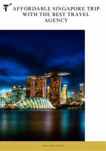 Affordable Singapore Trip with the Best Travel Agency