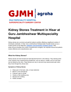 Kidney Stones Treatment in Hisar (1)