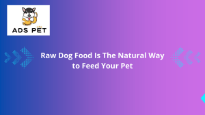 Raw Dog Food Is The Natural Way to Feed Your Pet