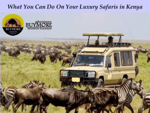 What You Can Do On Your Luxury Safaris in Kenya