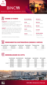 relatorio-mensal-binc11