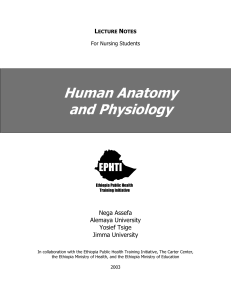 Human Anatomy & Physiology Lecture Notes for Nursing Students