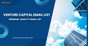 Venture Capital Email List - Premium  Quality Email List