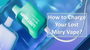 How to Charge Your Lost Mary Vape