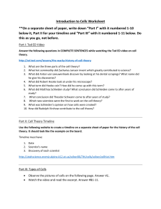 Introduction to Cells Worksheet