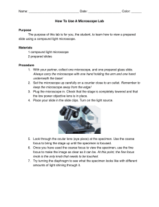 Microscope Lab Worksheet: How to Use a Microscope