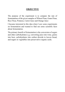 Fermentation Lab Report: Flour & Juice Rates