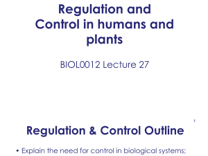  BIOL0012 Lecture 28 Regulation and Control