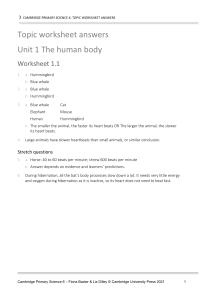 Cambridge Primary Science 6 Worksheet Answers