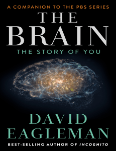 The Brain: Story of You - Excerpt