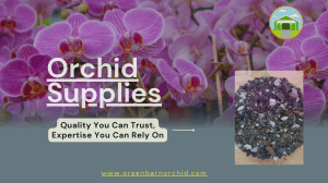 Orchid Supplies Designed for Maximum Growth