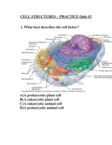 Cell Structures Practice Quiz #2