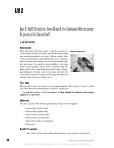 Cell Structure Lab: Classifying Microscopic Organisms