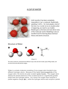 Water Molecule Lab: Structure & Hydrogen Bonding