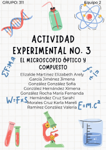 Microscopio Óptico: Actividad Experimental