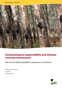 Chinese Investment in Cameroon Rubber Plantations