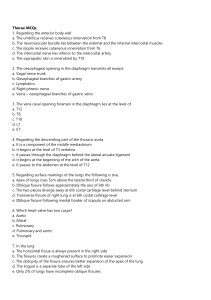 Thorax mcqs-1