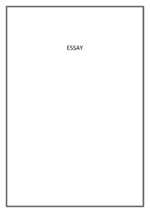 Essay Document