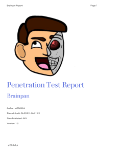 Brainpan Penetration Test Report