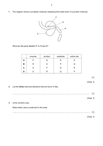 Biology Exam Paper: Enzymes, Respiration, DNA, Kidney Function