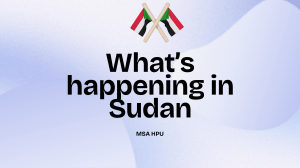 Sudan Crisis: Discussion Questions