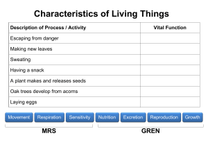 Characteristics of Living Things Worksheet