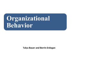 Organizational Behavior: Basics, Research, and Challenges