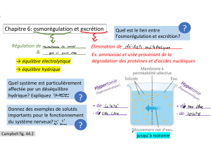 urinaire partie-I