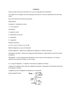 La digestion-LAPTOP-2DEE9KC2