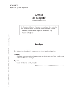 8 - ACCORD DES ADJECTIFS