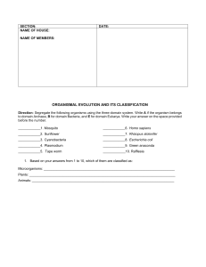 Organismal Evolution & Classification Worksheet