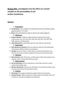 Beetroot Cell Membrane Permeability Lab Report