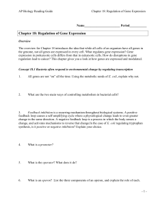 AP Biology Chapter 18 Reading Guide: Gene Regulation