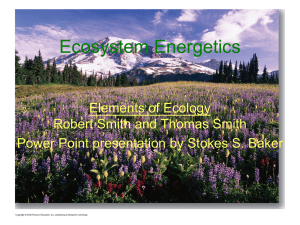 Ecosystem Energetics Presentation