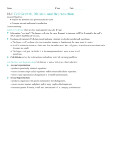 Cell Growth, Division, Reproduction Worksheet