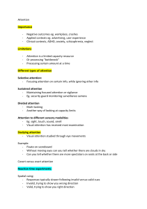 Attention: Types, Limitations, and Neural Processing