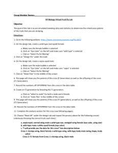 AP Biology Virtual Fruit Fly Lab Manual